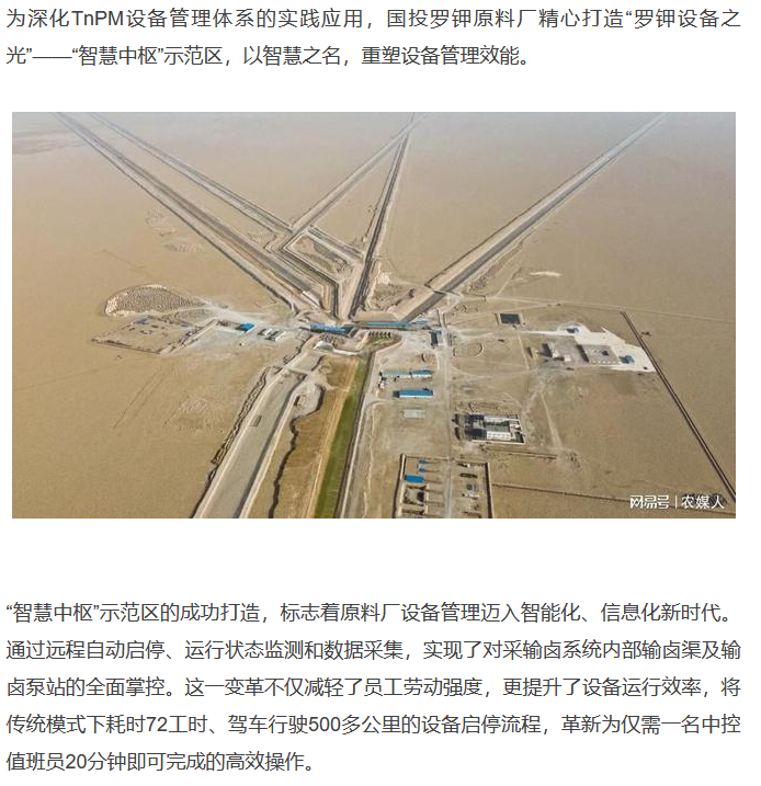 图片12