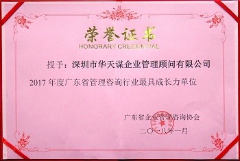 2017年度广东省管理咨询行业更具成长力单位